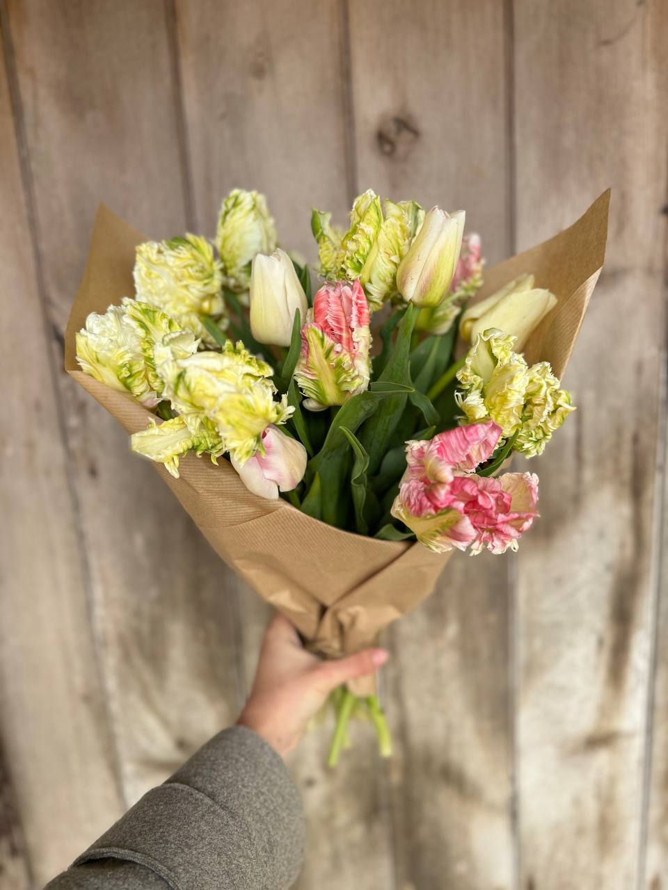 Mixed Tulips (BACK SOON)